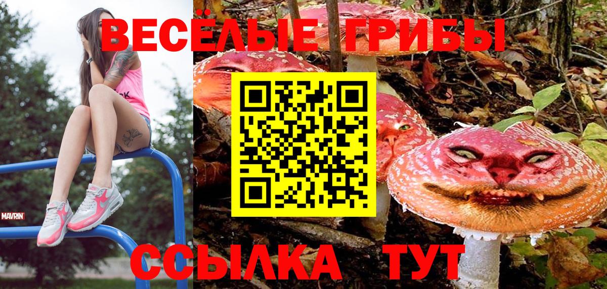 Псилоцибиновые грибы Psilocybe  где продают   Боровичи  Вход с VPN  Псилоцибиновые грибы GOLDEN TEACHER 