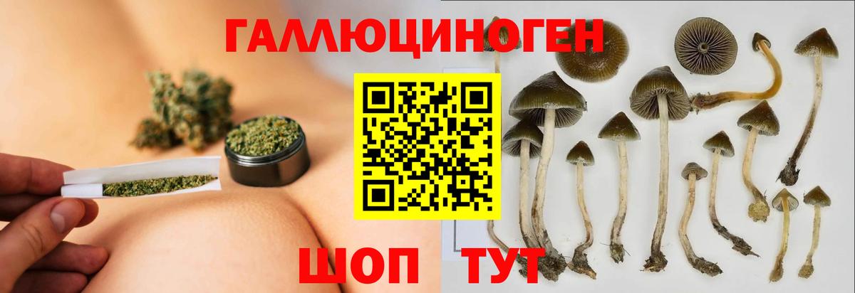 Боровичи  Вход с VPN  Cocaine  Магазины продажи наркотиков  ГАШ  Мефедрон кристаллы  NBOMe  LSD-25 